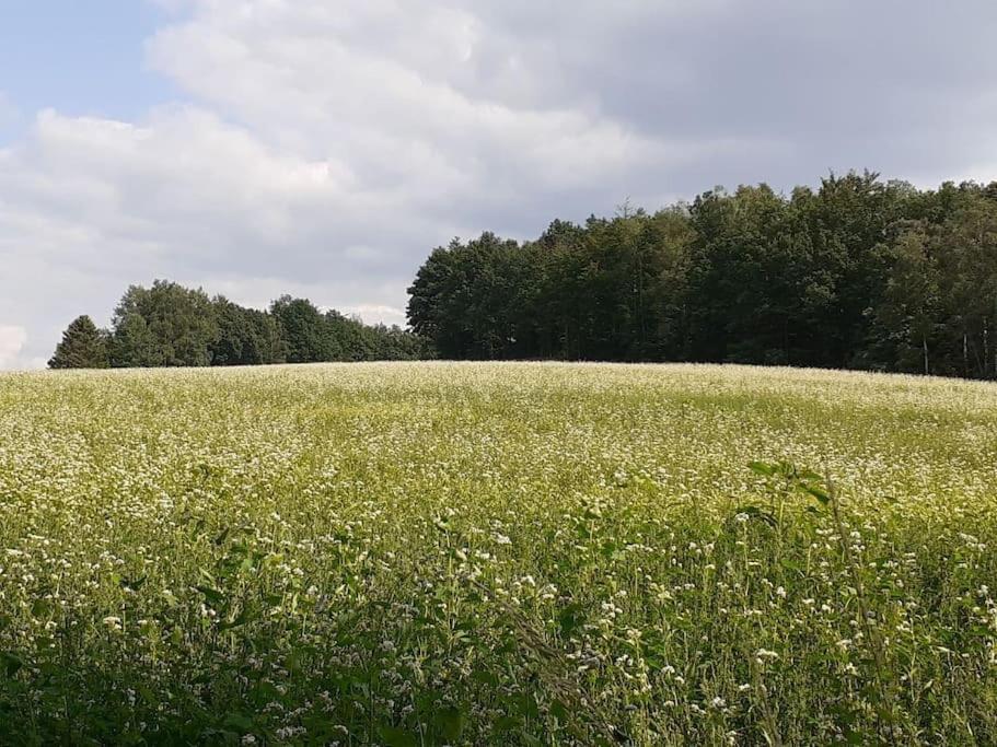 Schoene Und Ruhige Ferienwohnung In Ottendorf Sebnitz Esterno foto