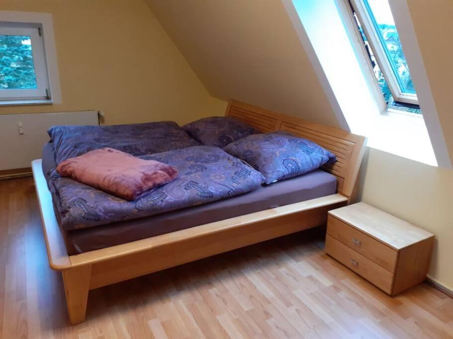 Schoene Und Ruhige Ferienwohnung In Ottendorf Sebnitz Esterno foto